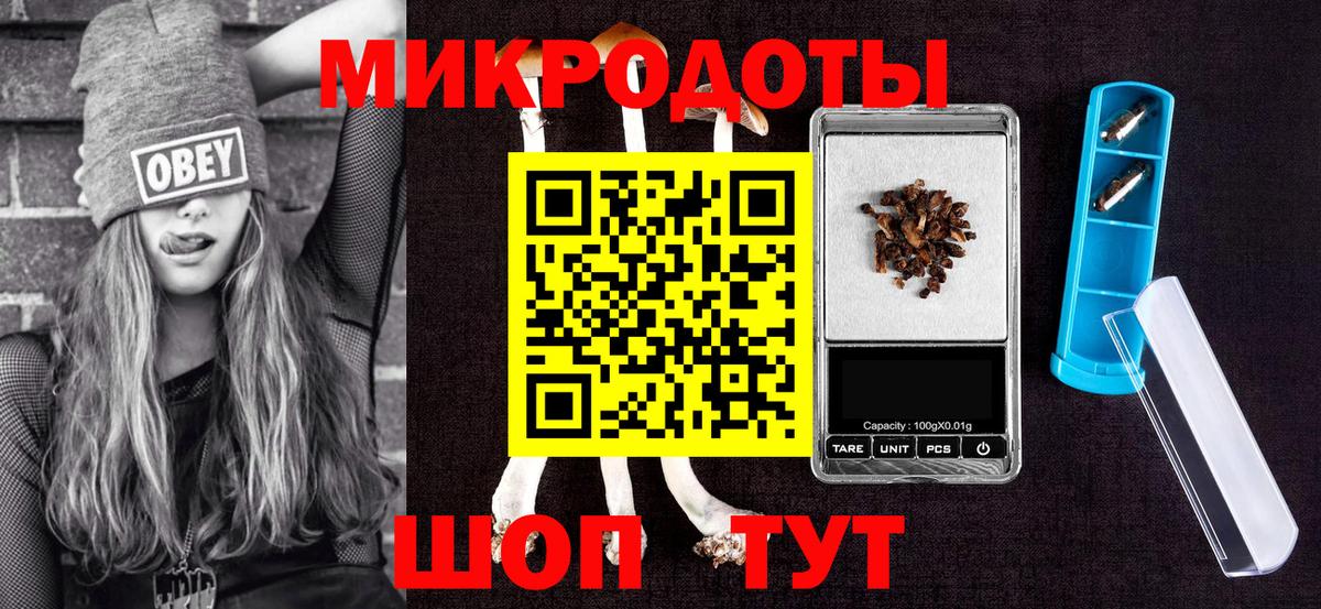 Псилоцибиновые грибы Cubensis Видное