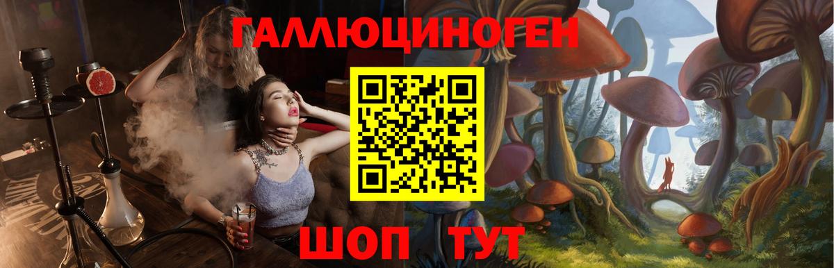 Псилоцибиновые грибы мицелий  Псилоцибиновые грибы GOLDEN TEACHER  Вход с VPN  Видное 